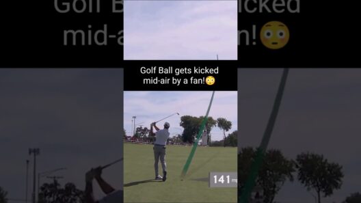 Fan kicks the golf ball mid-air at the Presidents Cup when out of bounds #golf #presidentscup #pga