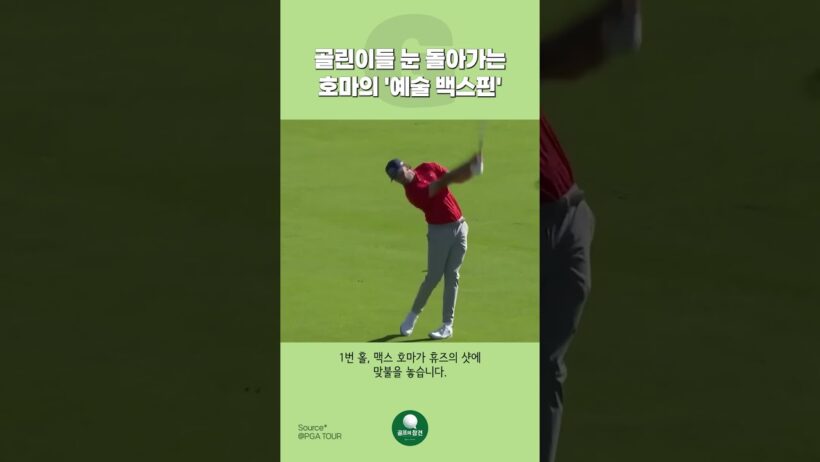 골린이들 눈 돌아가는 호마의 '예술 백스핀'