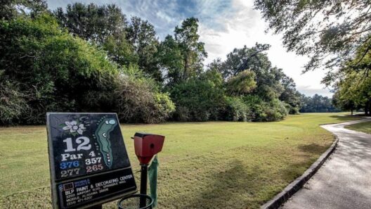 Where to play golf in local area | Sports