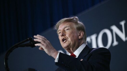 Photo of President Donald Trump / Brendan SMIALOWSKI