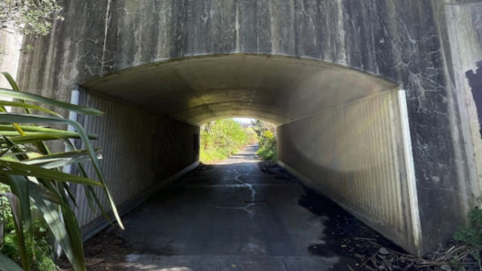 Vehicle catches fire in golf course tunnel under Gulf Harbour Drive after getting stuck