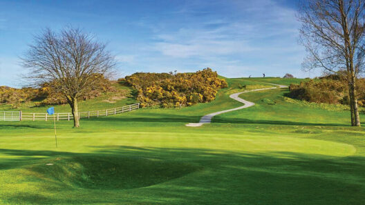 Centenary of the Collins Cup at Royal Curragh Golf Club