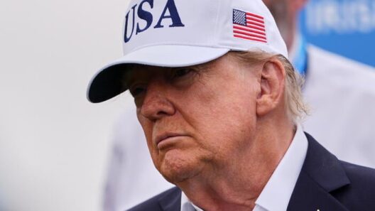 Trump downplays calls for AI slowdown
