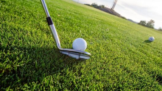 Pensioner who endured seven years of golf balls hitting his home finally wins RM100,000 from Jitra resort