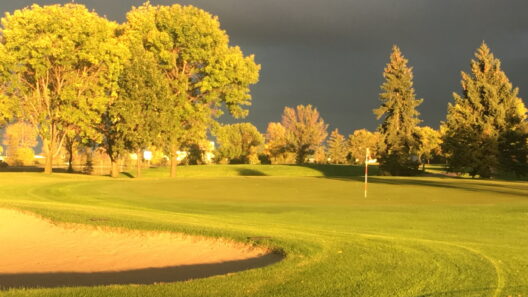 McFeely: Hands off the golf courses - InForum