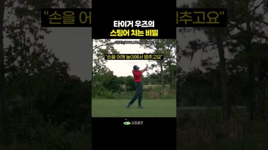 타이거 우즈 스팅어 비밀