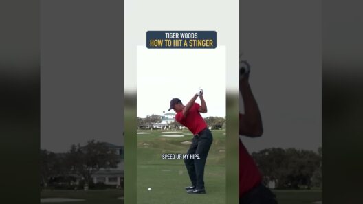 Tiger Woods Stinger Lesson (Left Handed) 🪞