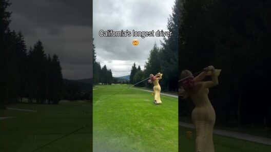 They could’ve just gave me a whip to play golf with lol