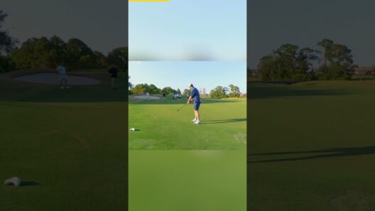 They Know It's Good… And Still Won't Concede It 😤 #golf #shorts