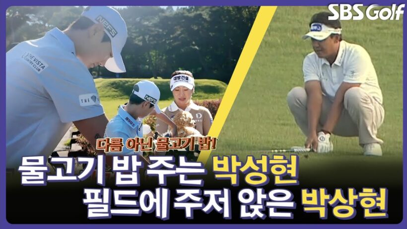 물고기 밥 주는 박성현과 필드에 주저 앉은 박상현? 이번 주 대회장에선 무슨 일이.. | 인사이드 KLPGA 이모저모