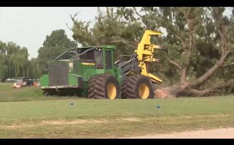 Court fight over East Potomac Golf Course tree cutting escalates as Trump calls judge a "crazed luna