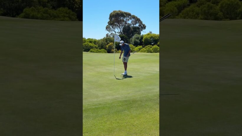 First ever albatross. DOD from 240 at Secret Harbour. Wild stuff.
