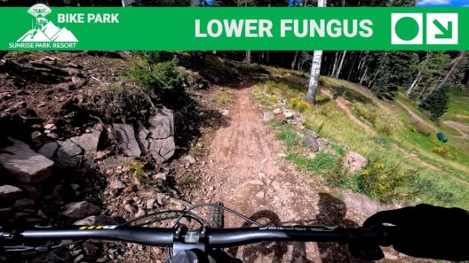 Lower Fungus & Pinedale Full Trail POV | Sunrise Peak Bike Park | Greer, AZ