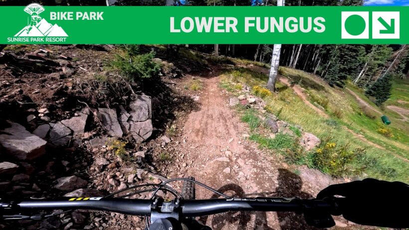 Lower Fungus & Pinedale Full Trail POV | Sunrise Peak Bike Park | Greer, AZ