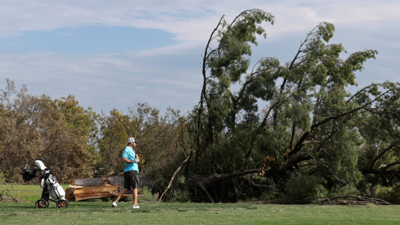 Satellite Images Show Extent of Trump Admin’s Tree-Felling at DC Golf Course, Despite “Furious” Judge’s Order