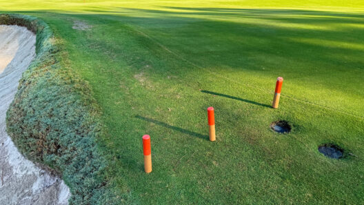 Managing Thin Turf as Winter Approaches
