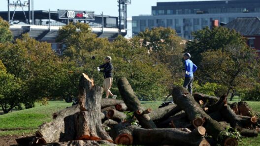 Trump’s bid to overhaul DC golf course for majors faces judicial freeze