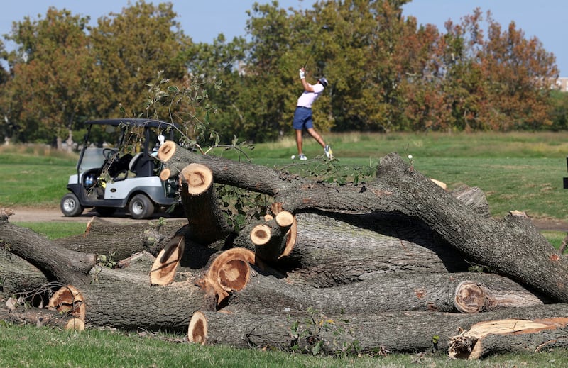 A golfer tees off near felled trees after the President Donald Trump's administration cut down more than 400 trees at the historic East Potomac Golf Links last weekend, in Washington, DC, October 14, 2026.