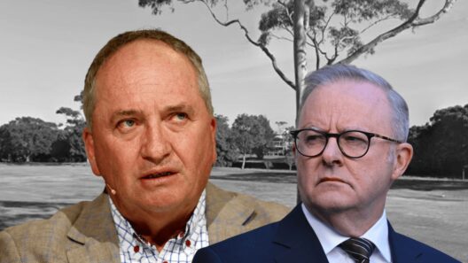 'Do we start believing him then': Barnaby Joyce questions Prime Minister's credibility amid Marrickville Golf Club scandal