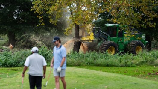 Work on DC golf course at center of fight over tree clearing to start mid November, Trump says