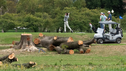 Judge orders freeze after Trump administration cuts 430 trees at East Potomac Park for golf course renovation